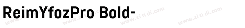 ReimYfozPro Bold字体转换